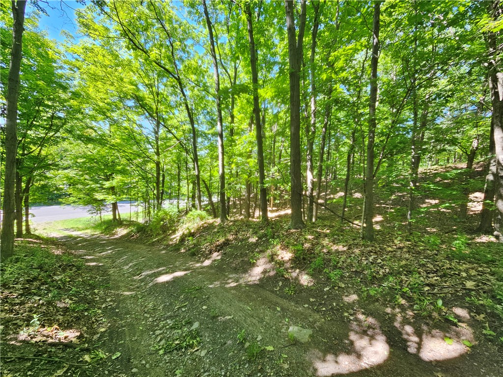 DRIVEWAY ENTRY FROM RT 54 - E LAKE RD