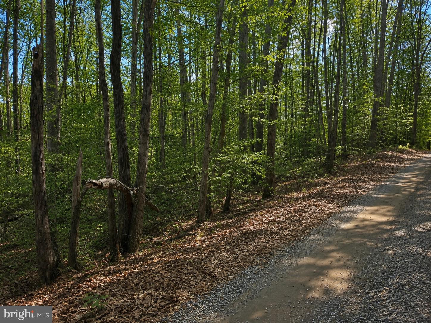 0 Buggy Lane Rochelle, VA 22738 - Photo 4 of 5