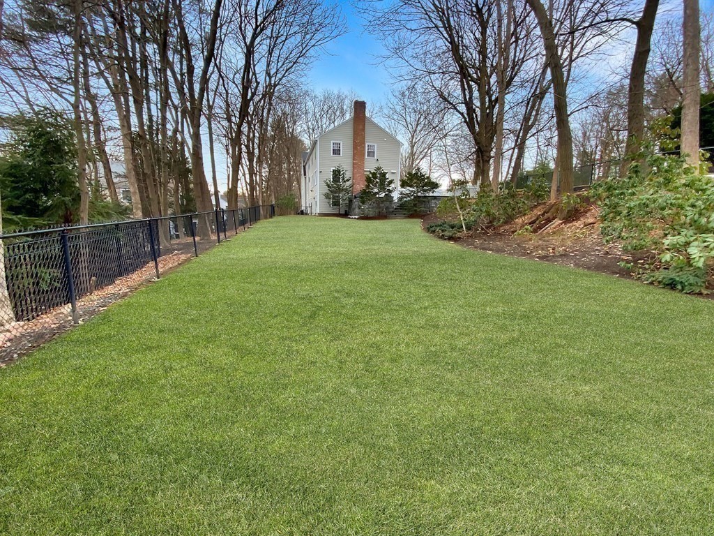 49 Tanglewood Road Wellesley, MA 02481 - Photo 35 of 35 a view of a yard with a large tree