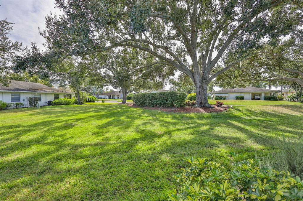 2034 Hawkhurst Circle, Unit 178 Sun City Center, FL 33573 - Photo 33 of 94 a view of a yard with plants and large trees