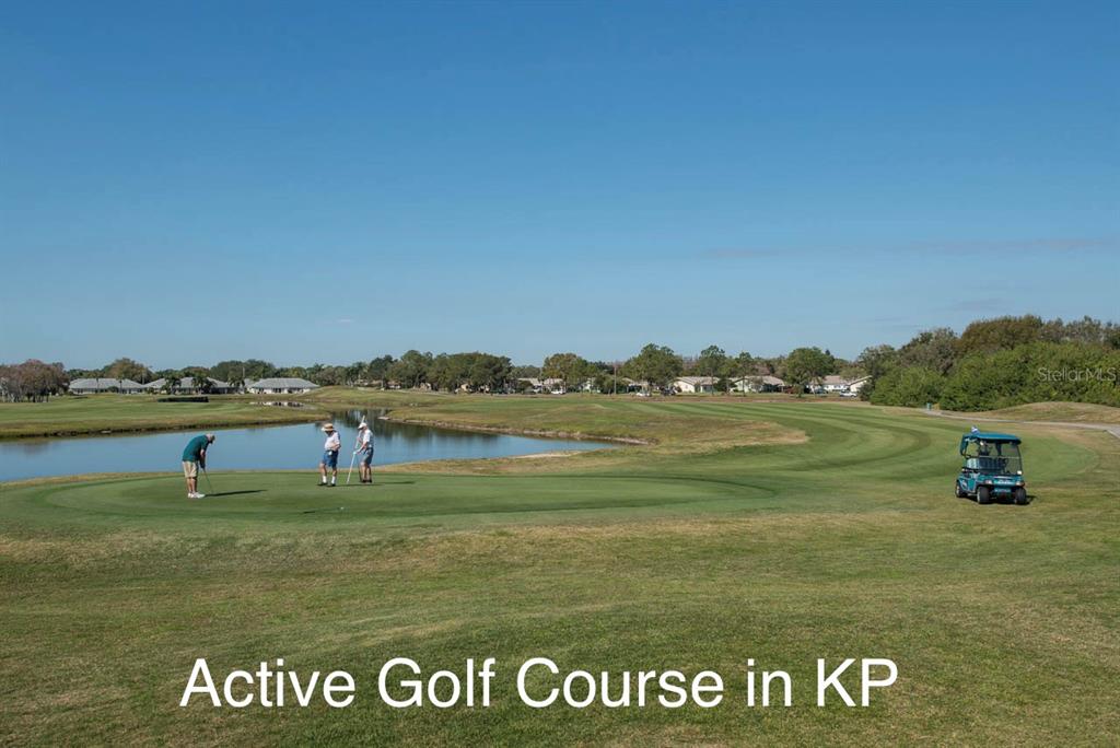 2034 Hawkhurst Circle, Unit 178 Sun City Center, FL 33573 - Photo 66 of 94