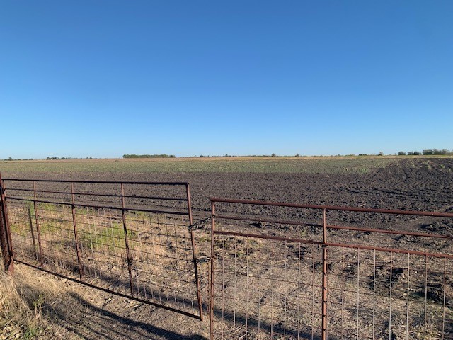 Tbd Tbd Lindemann Road Holland, TX 76534 - Photo 1 of 1
