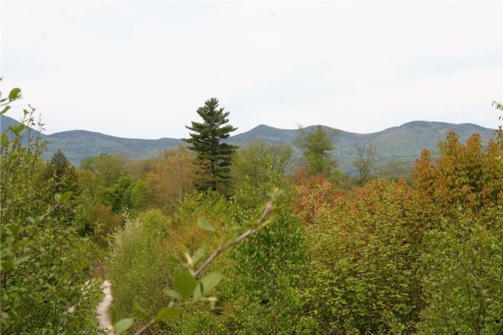 0 Federal Road Fryeburg, ME 04037 - Photo 1 of 21 0 Federal Rd photo 1