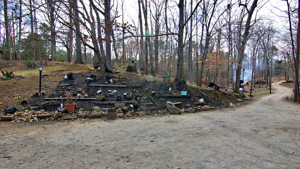 41 3rd Avenue Iva, SC 29655 - Photo 23 of 31 This expansive wooded lot provides a serene and private natural setting, perfect for outdoor living.