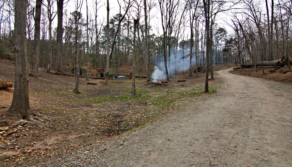 41 3rd Avenue Iva, SC 29655 - Photo 25 of 31 This expansive lot features a private yard, mature trees, and a winding gravel road.