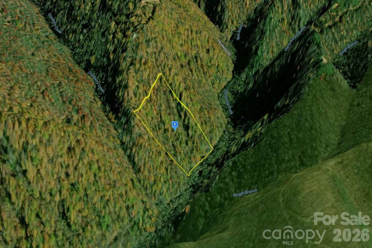 1448 Reservation Road Maggie Valley, NC 28751 - Photo 2 of 5