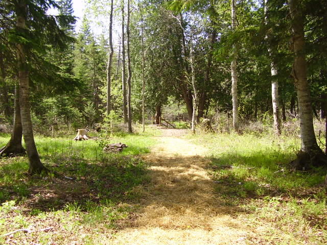 5609 North Abbe Road Comins, MI 48619 - Photo 26 of 32 Gallery Image 26
