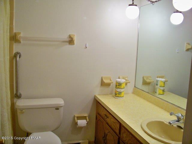 259 Devils Hole Road Cresco, PA 18326 - Photo 14 of 20 a bathroom with a sink a toilet and a mirror