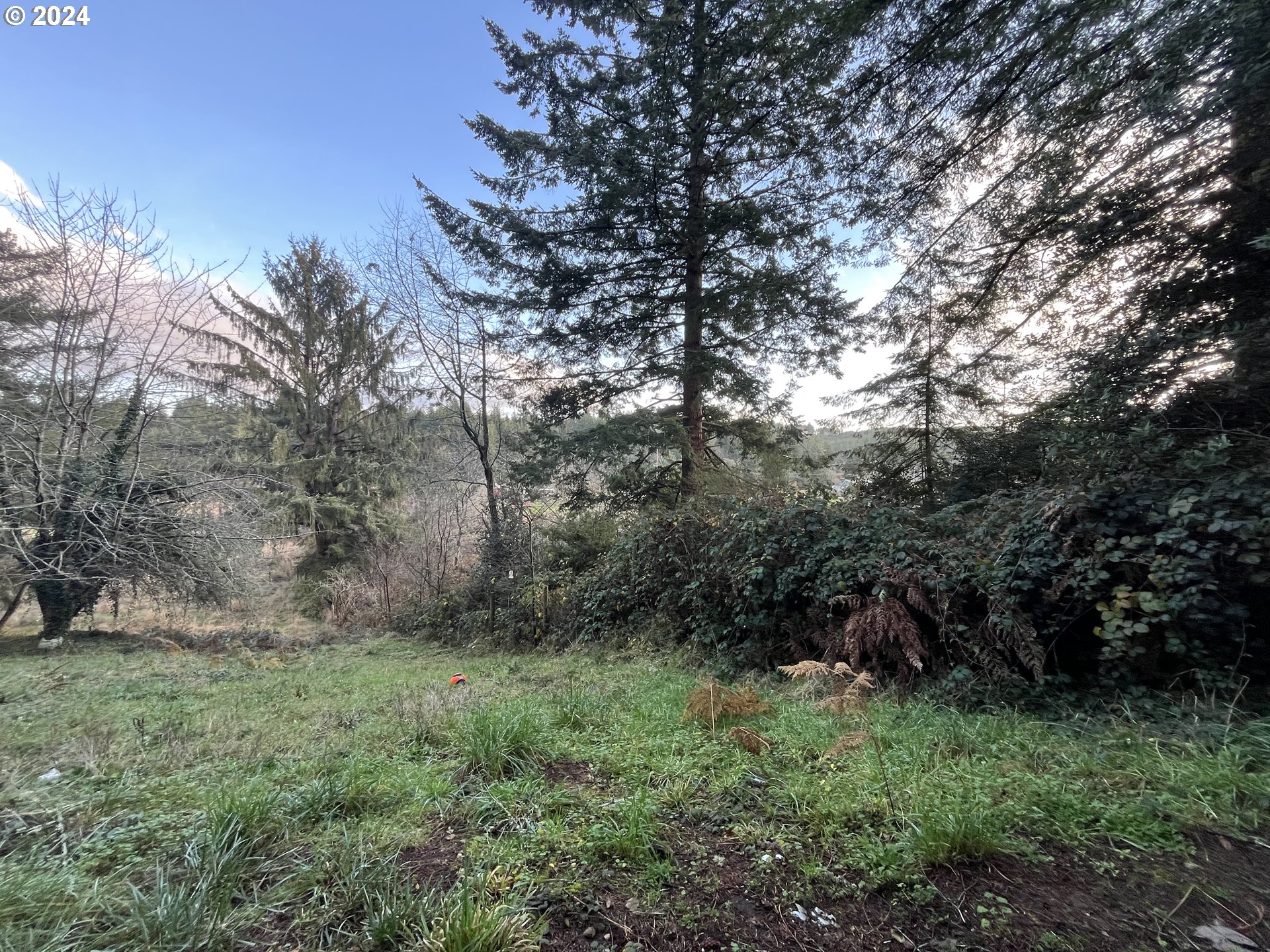 63107 Fruitdale Road Coos Bay, OR 97420 - Photo 35 of 41 Gallery Image 35