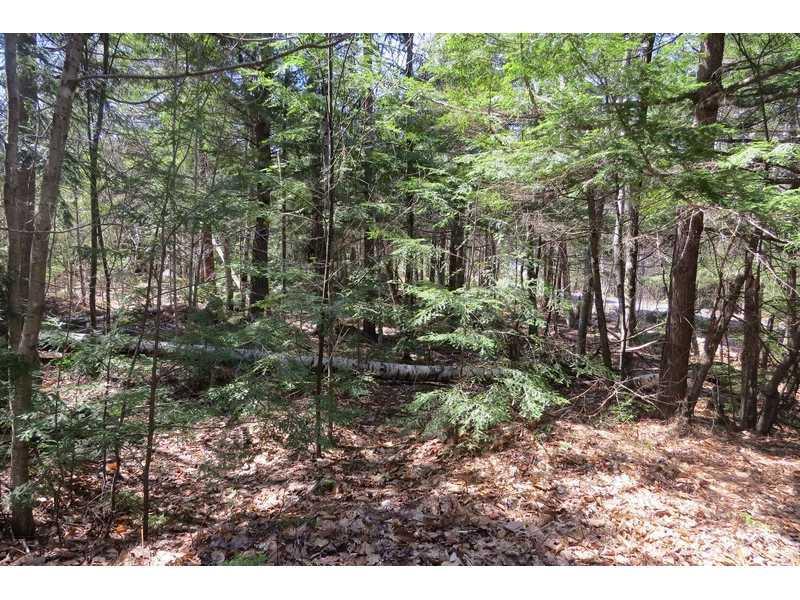 107-111 Juniper Circle Rome, ME 04963 - Photo 3 of 8 Land/Lot.