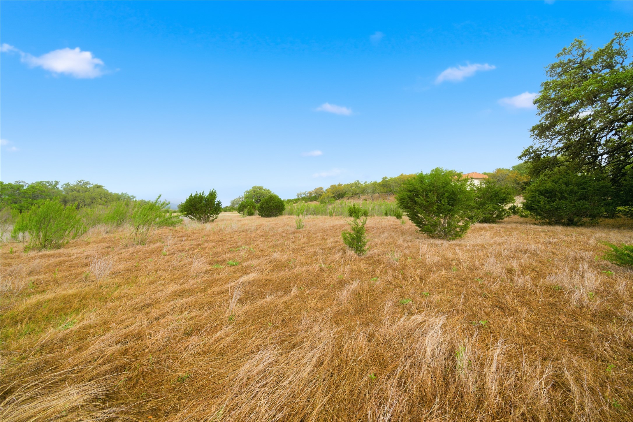 Tbd Highgate Drive Bandera, TX 78003 - Photo 20 of 23 a view of a yard with a tree