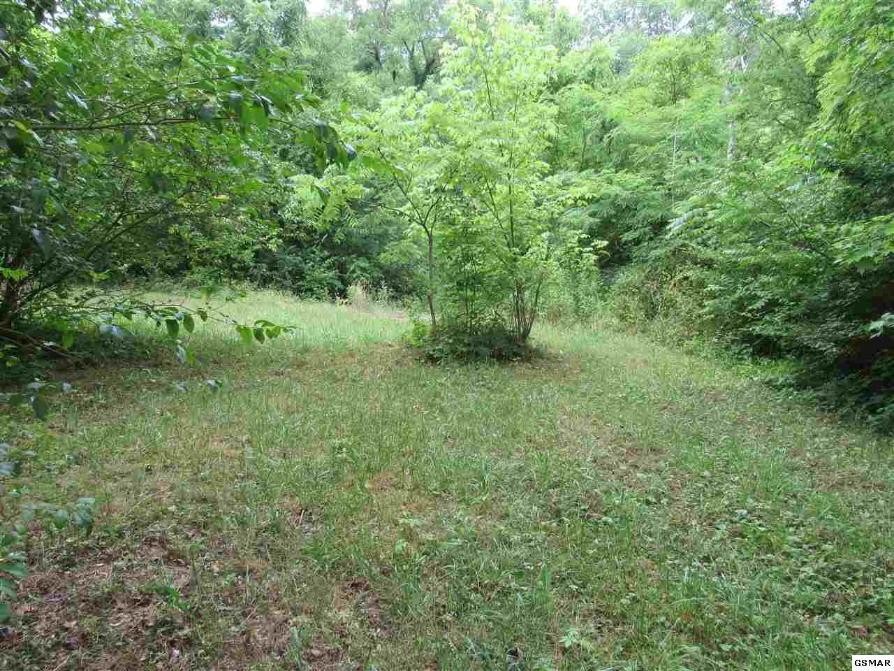 4720 Prospect Road Knoxville, TN 37920 - Photo 7 of 12 Gallery Image 7