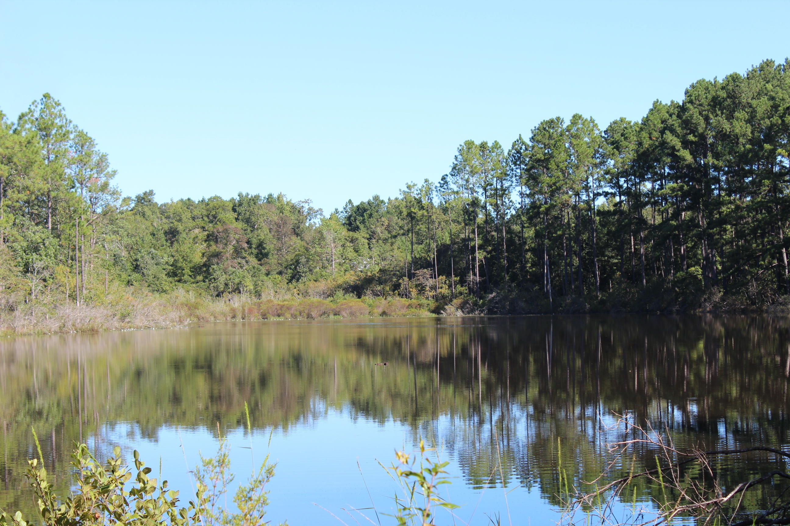 75-ac Chesser Road DeFuniak Springs, FL 32435 - Photo 11 of 24 5 acre lake pic 2