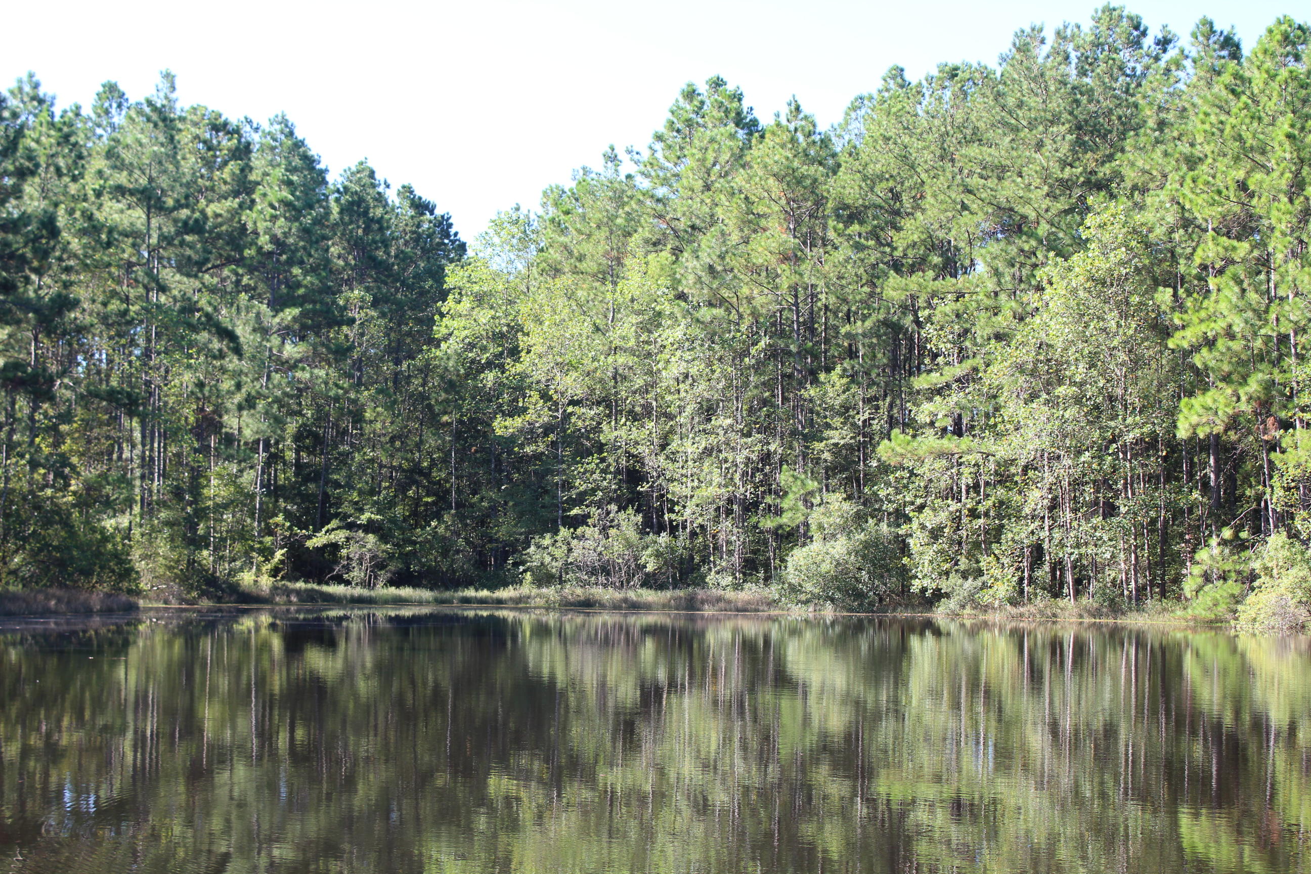 75-ac Chesser Road DeFuniak Springs, FL 32435 - Photo 12 of 24 2 acre lake