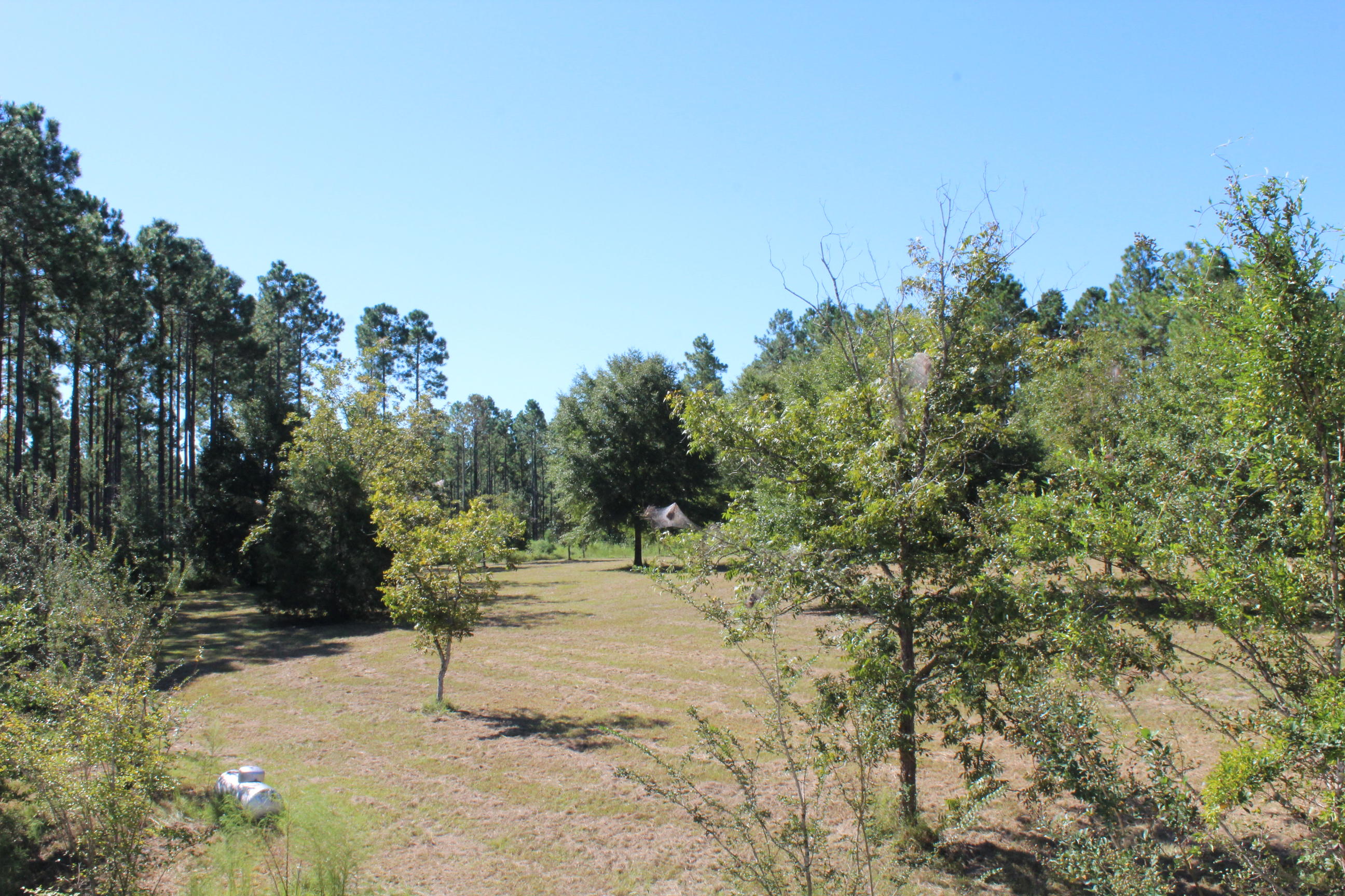 75-ac Chesser Road DeFuniak Springs, FL 32435 - Photo 3 of 24 view from 2nd floor covered proch
