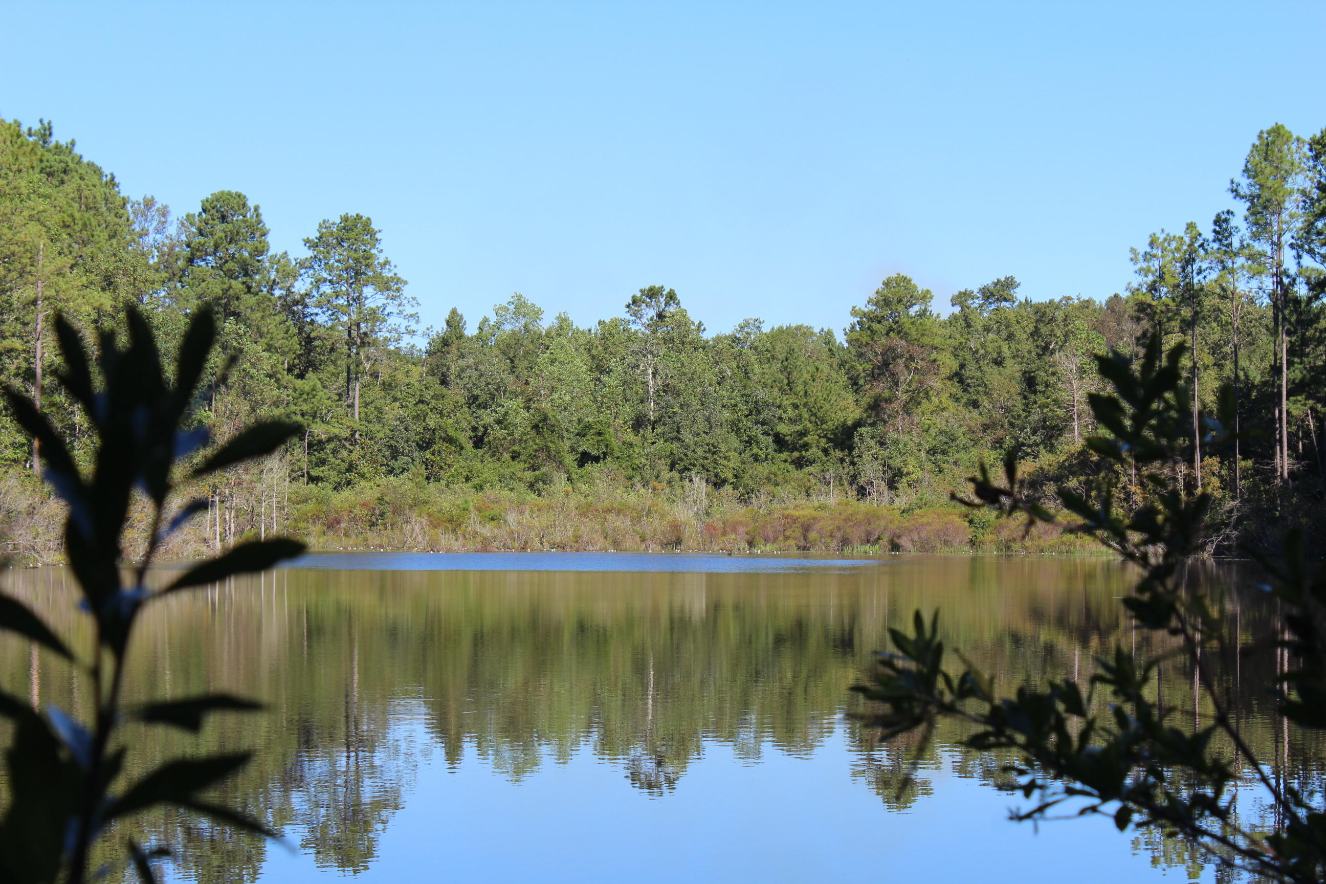 75-ac Chesser Road DeFuniak Springs, FL 32435 - Photo 10 of 24 5 acre lake