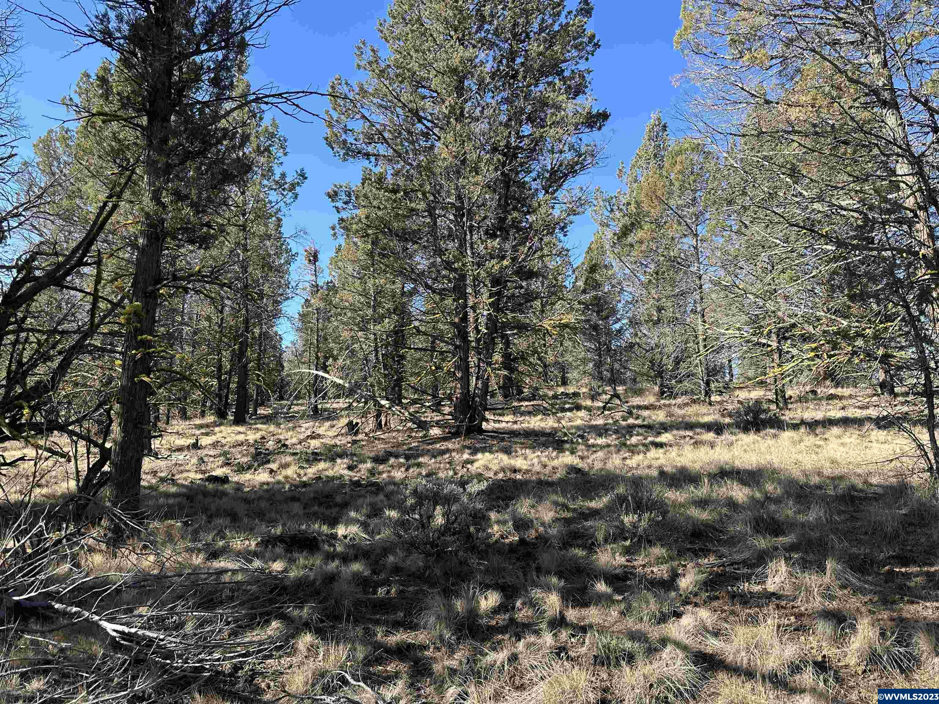 1300 Fishhole Creek Road Bly, OR 97622 - Photo 5 of 25