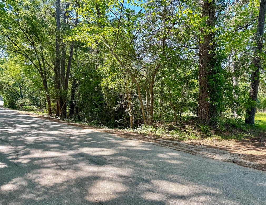 0 Old Houston Road Huntsville, TX 77340 - Photo 8 of 12 Gallery Image 8
