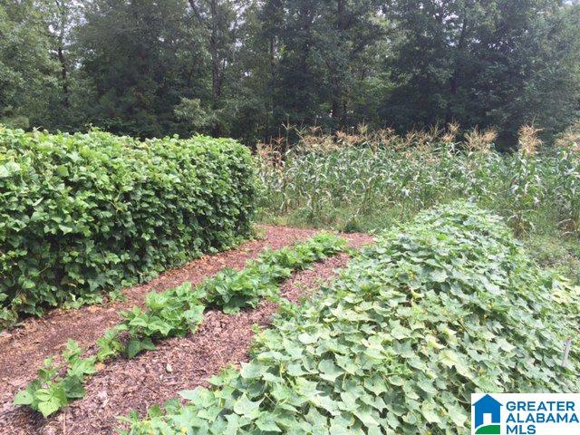 655 Mount Moriah Road Pell City, AL 35125 - Photo 14 of 16 Gallery Image 14