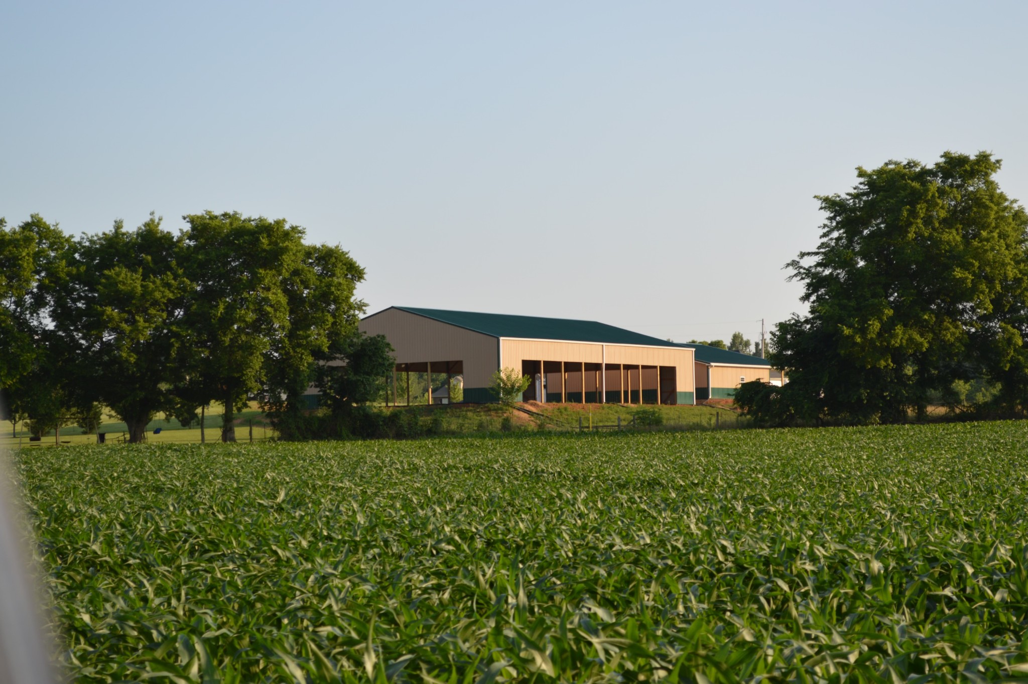 4804 Somerville Road Cross Plains, TN 37049 - Photo 7 of 44 Gallery Image 7
