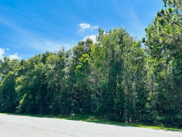 705 Southwest 4th Avenue Chiefland, FL 32626 - Photo 2 of 4