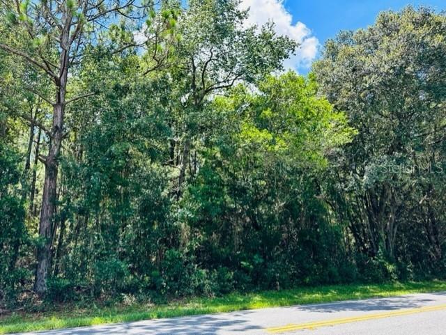 705 Southwest 4th Avenue Chiefland, FL 32626 - Photo 3 of 4