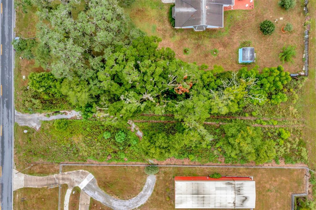 Fort King Rd Road Dade City, FL 33525 - Photo 16 of 23
