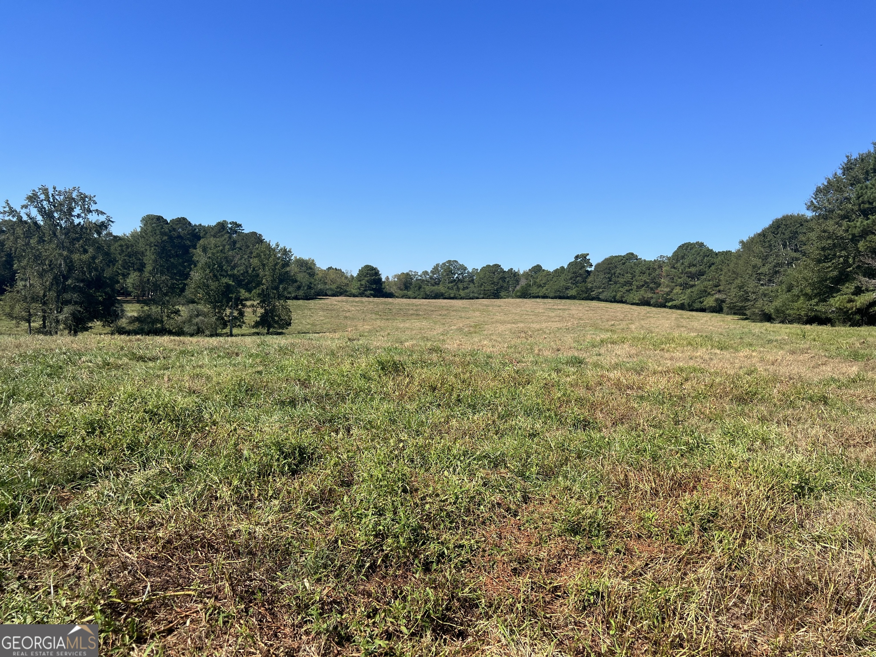 0 Wright Road Franklin, GA 30217 - Photo 1 of 1