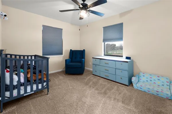 a view of a lush green space