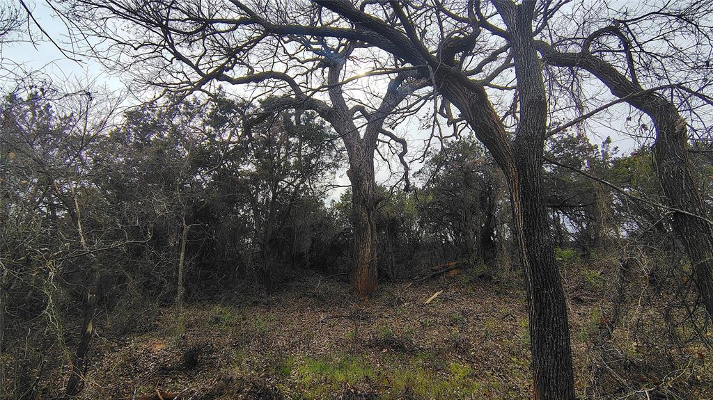 117 Buchanan Road Abilene, TX 79606 - Photo 30 of 40