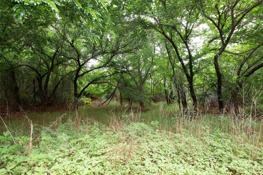 117 Buchanan Road Abilene, TX 79606 - Photo 34 of 40