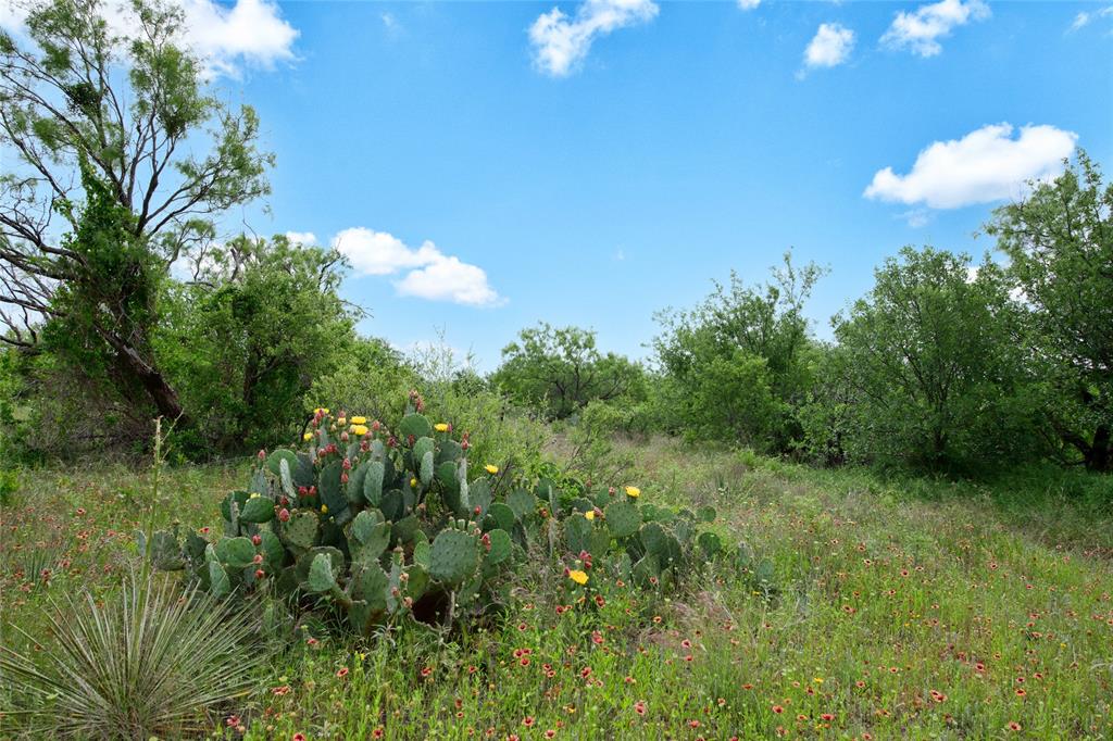 117 Buchanan Road Abilene, TX 79606 - Photo 37 of 40