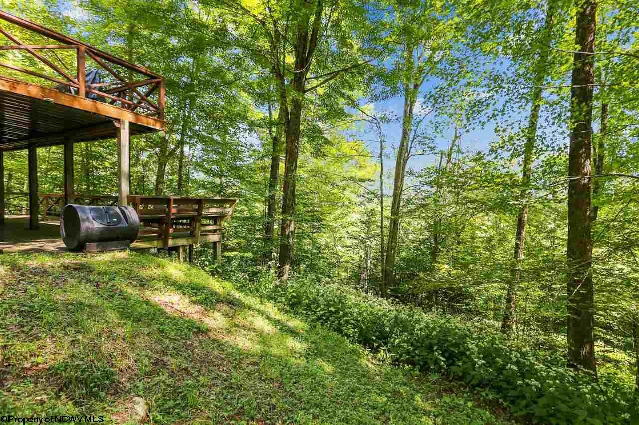 255 Rough Rider Lane Davis, WV 26260 - Photo 23 of 27 Gallery Image 23