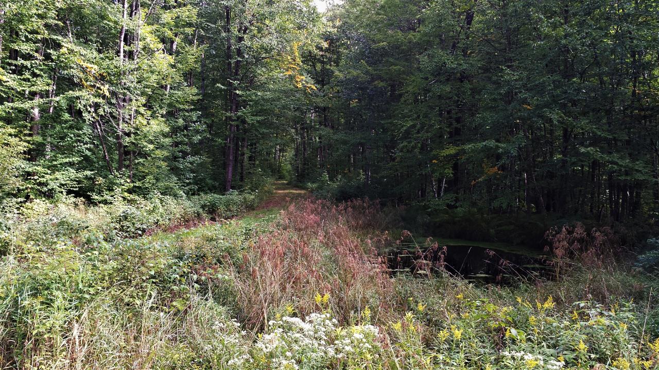 Off Bear Lake Road, Unit 120 ACRES Butternut, WI 54514 - Photo 17 of 18 Gallery Image 17