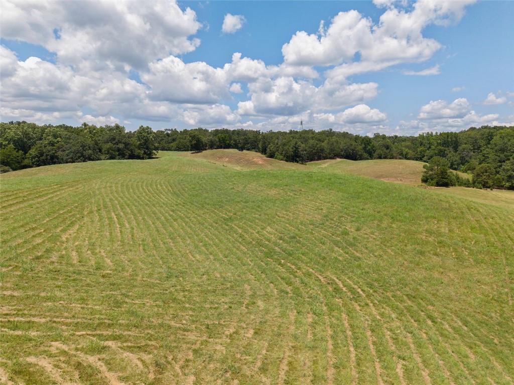 0 Mt Pleasant Road Northeast Fairmount, GA 30139 - Photo 11 of 59