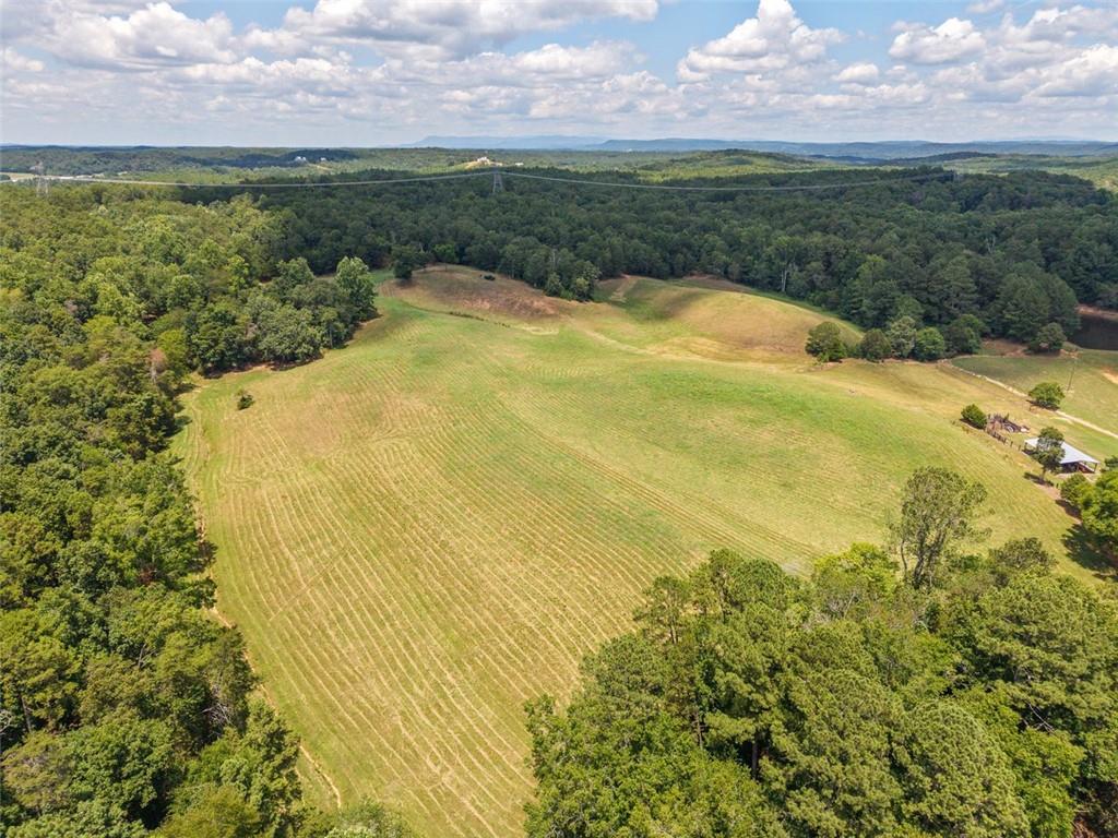 0 Mt Pleasant Road Northeast Fairmount, GA 30139 - Photo 19 of 59