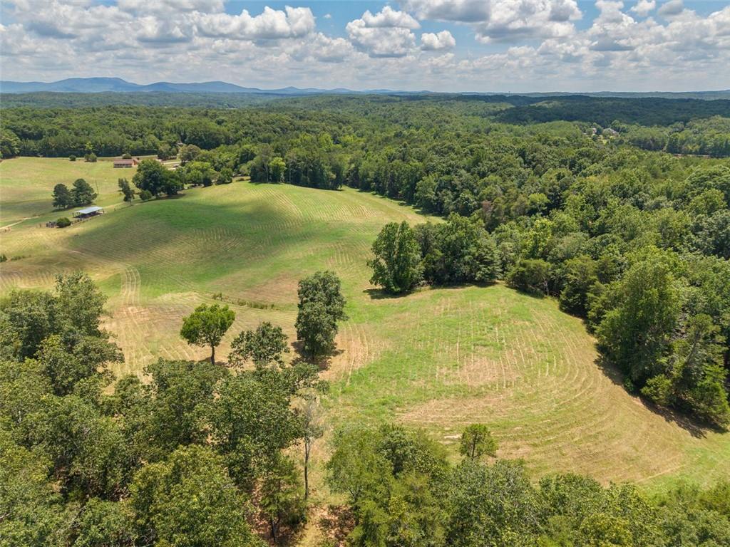 0 Mt Pleasant Road Northeast Fairmount, GA 30139 - Photo 23 of 59