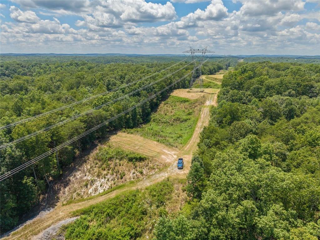 0 Mt Pleasant Road Northeast Fairmount, GA 30139 - Photo 24 of 59