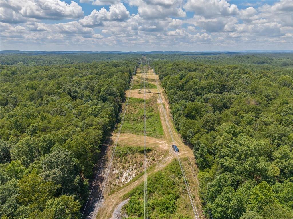 0 Mt Pleasant Road Northeast Fairmount, GA 30139 - Photo 25 of 59