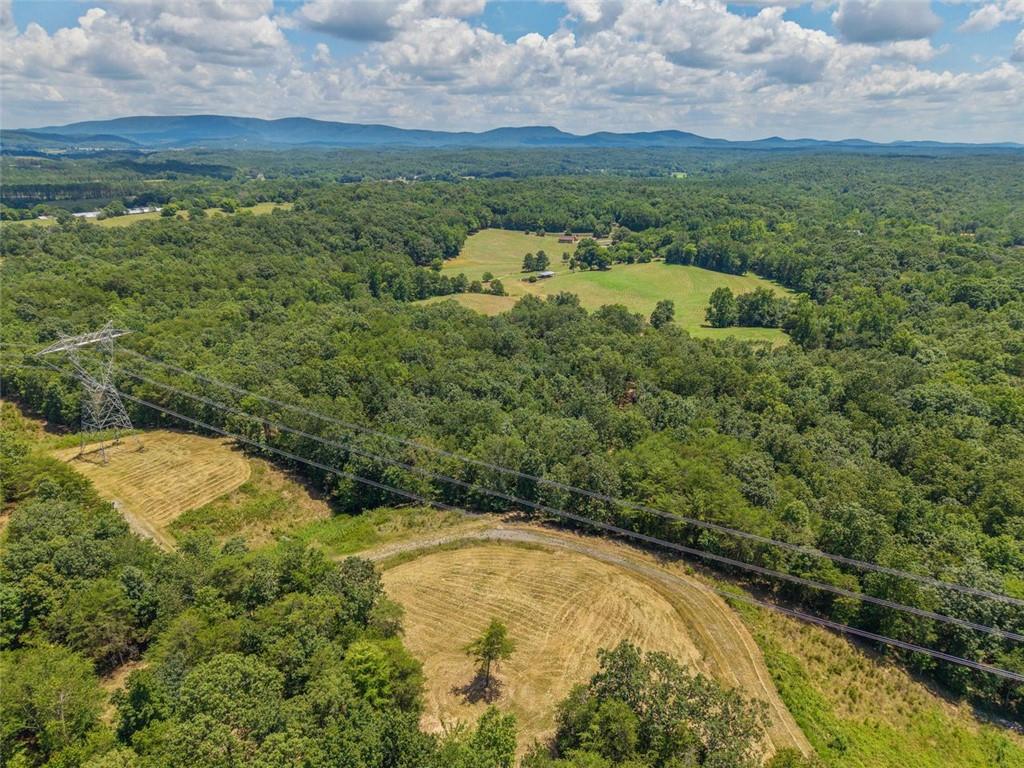 0 Mt Pleasant Road Northeast Fairmount, GA 30139 - Photo 28 of 59