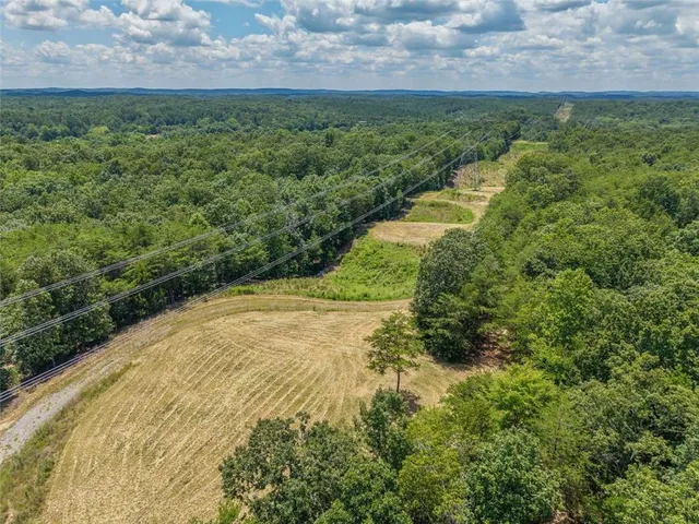 $1,285,000 | 0 Mt Pleasant Road Northeast, Fairmount, GA 30139