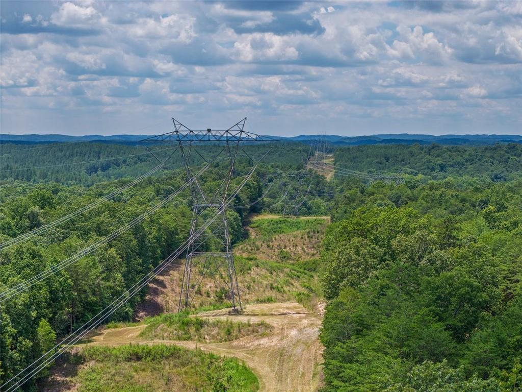 0 Mt Pleasant Road Northeast Fairmount, GA 30139 - Photo 30 of 59