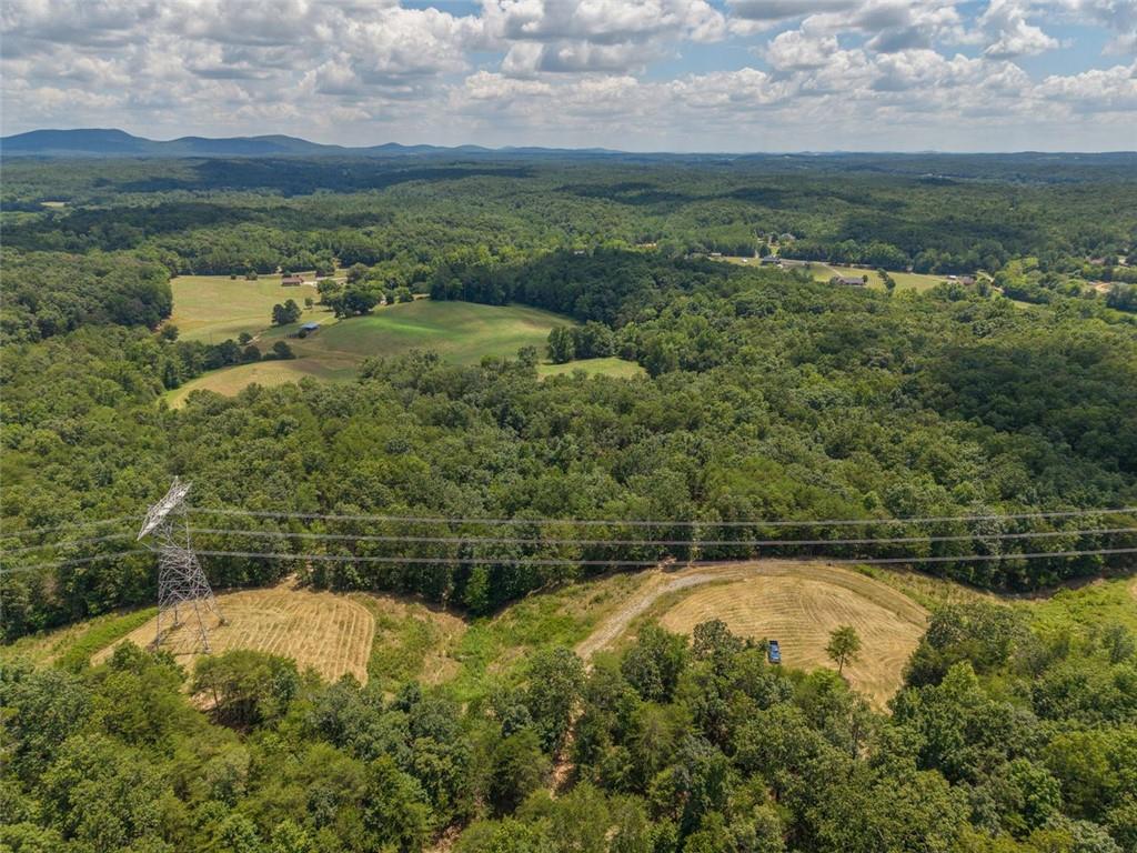 0 Mt Pleasant Road Northeast Fairmount, GA 30139 - Photo 33 of 59