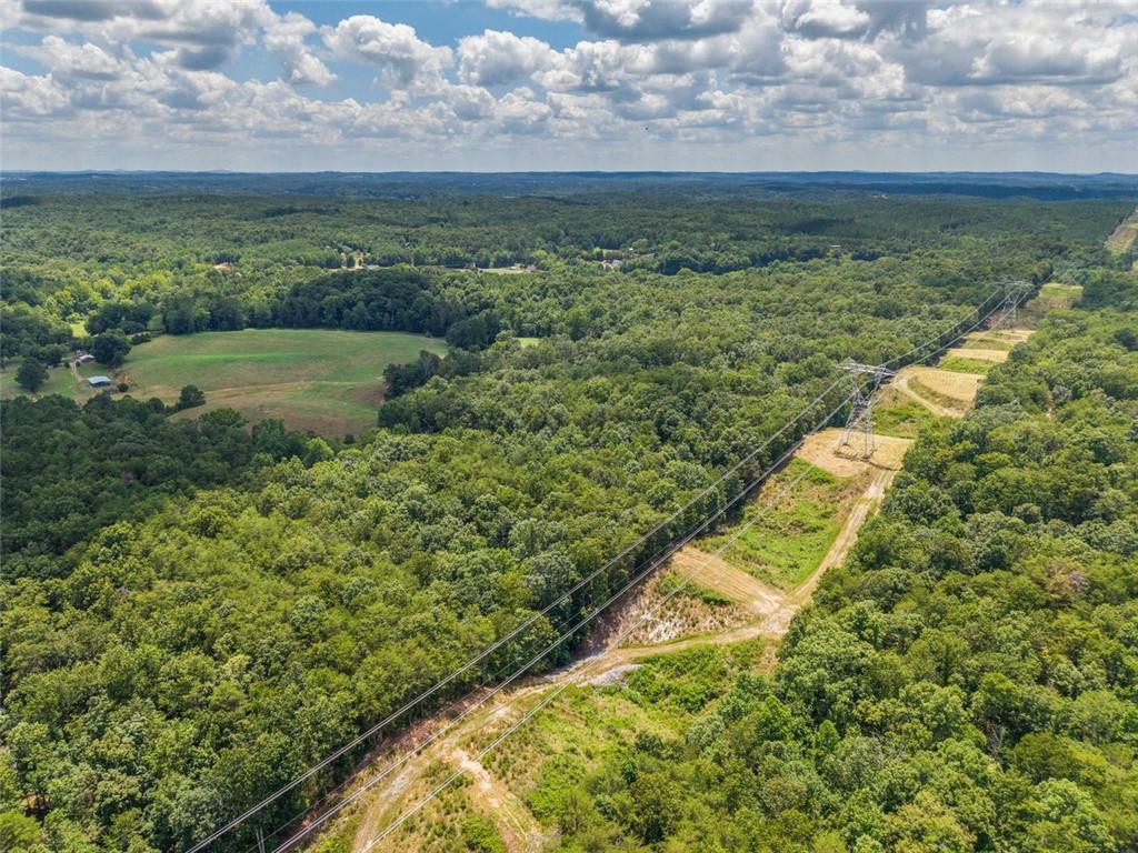 0 Mt Pleasant Road Northeast Fairmount, GA 30139 - Photo 34 of 59