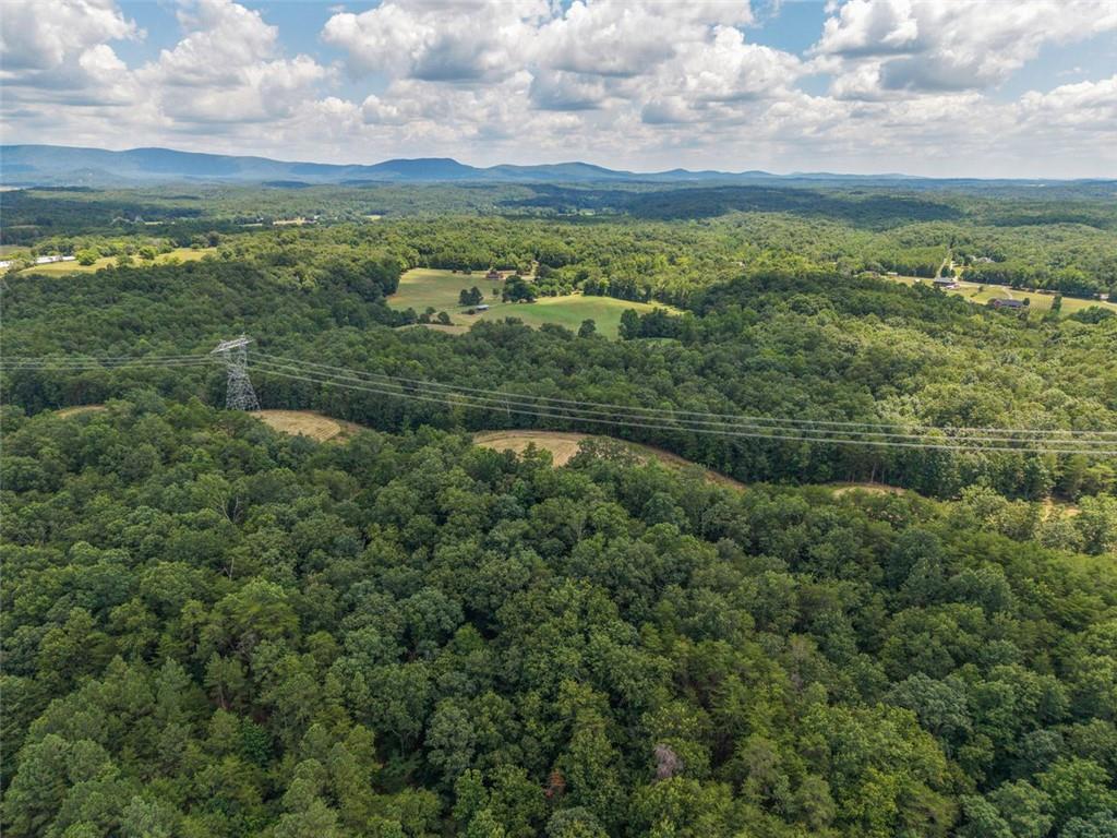 0 Mt Pleasant Road Northeast Fairmount, GA 30139 - Photo 35 of 59