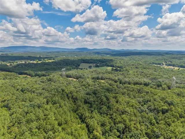 $1,285,000 | 0 Mt Pleasant Road Northeast, Fairmount, GA 30139