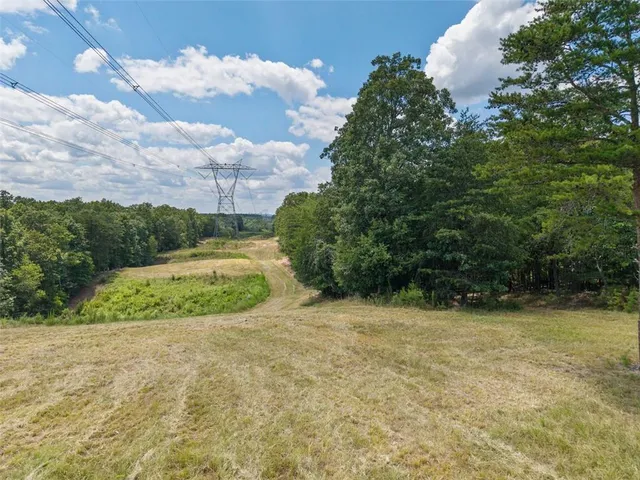 $1,285,000 | 0 Mt Pleasant Road Northeast, Fairmount, GA 30139