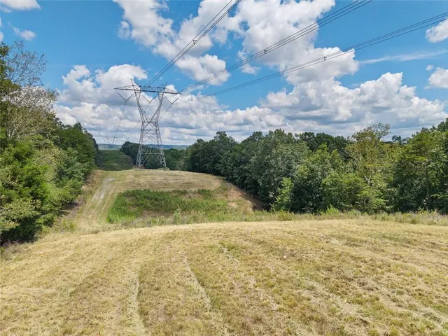 $1,285,000 | 0 Mt Pleasant Road Northeast, Fairmount, GA 30139