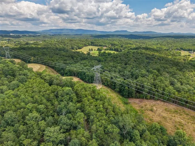 $1,285,000 | 0 Mt Pleasant Road Northeast, Fairmount, GA 30139