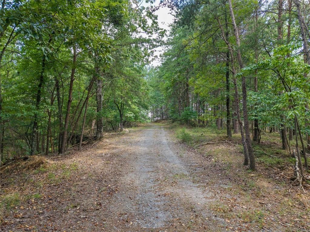 0 Mt Pleasant Road Northeast Fairmount, GA 30139 - Photo 49 of 59